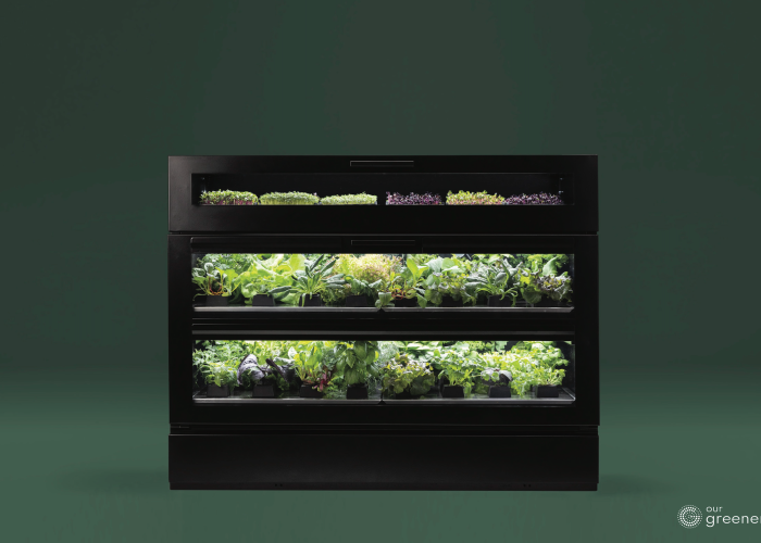 Our Greenery GmbH